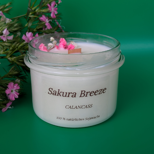 Sakura Breeze